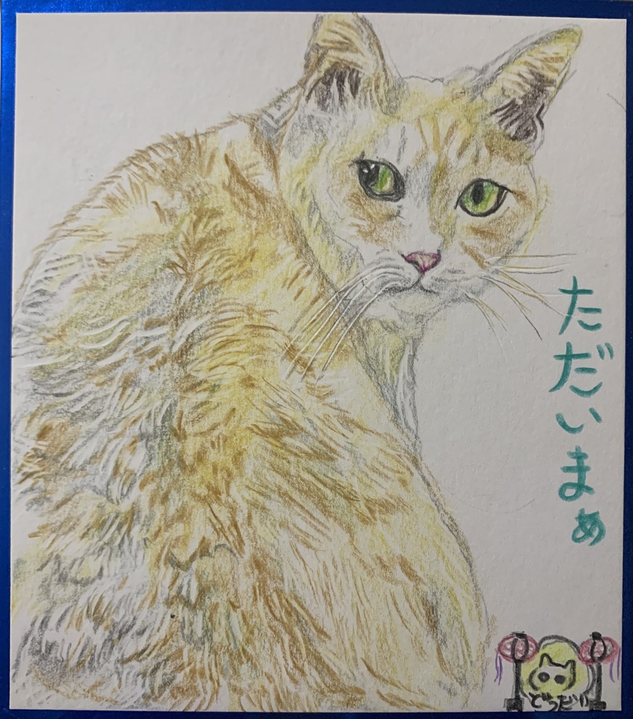 はつぼんねこのえ　1228