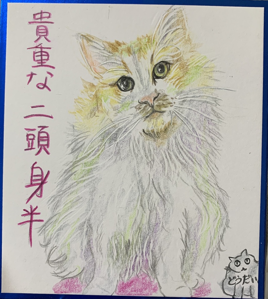 いちおうまんちかんねこのえ　1230