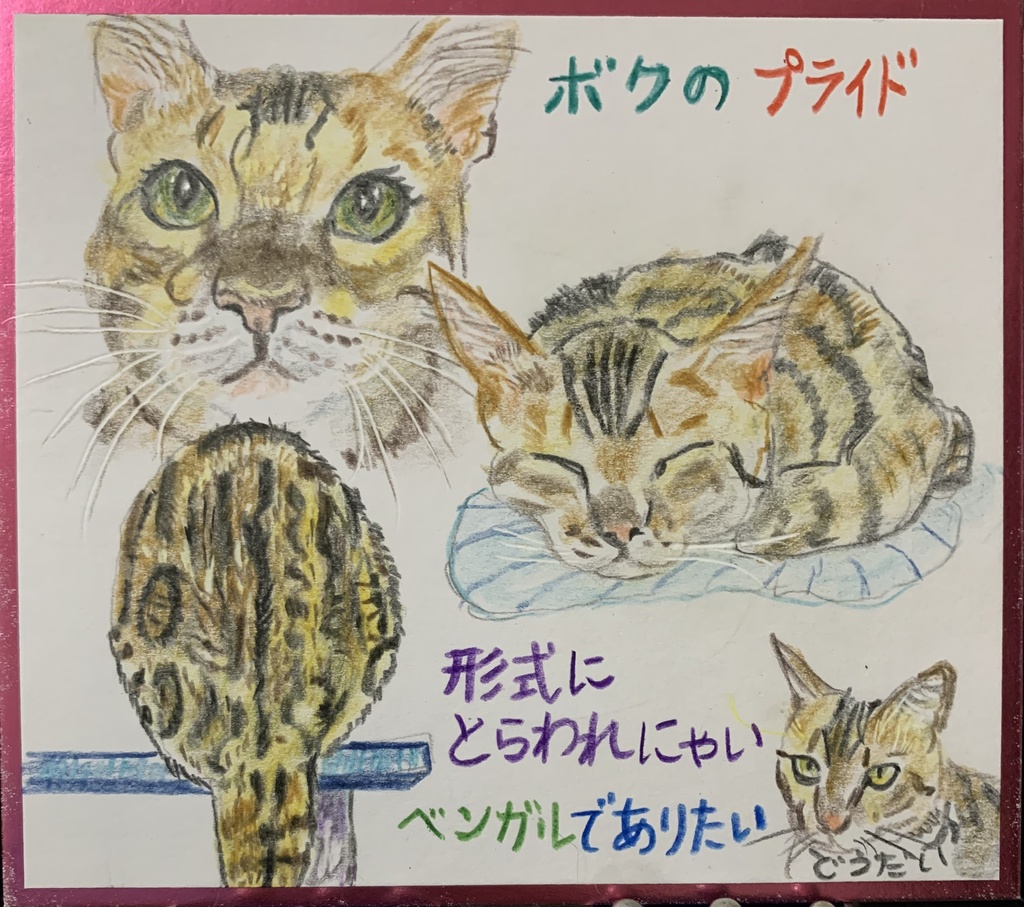 べんがるねこのえ　1231