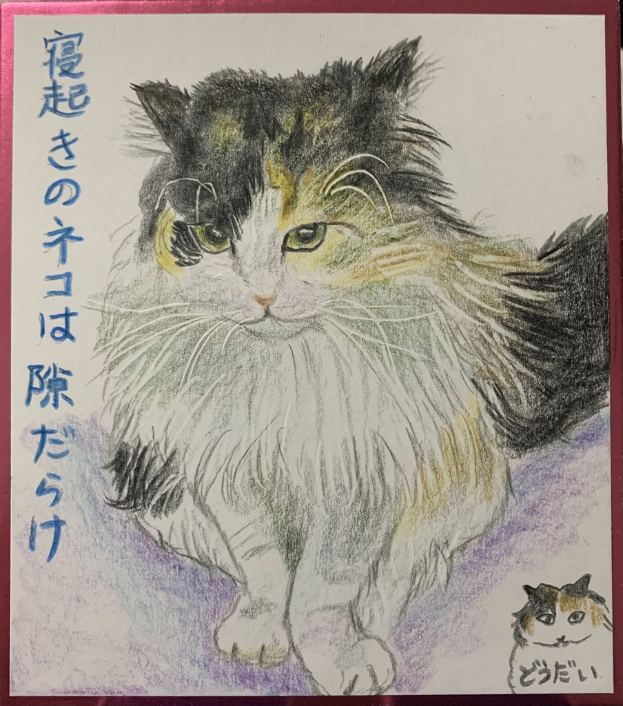 おはよーねこのえ　1234