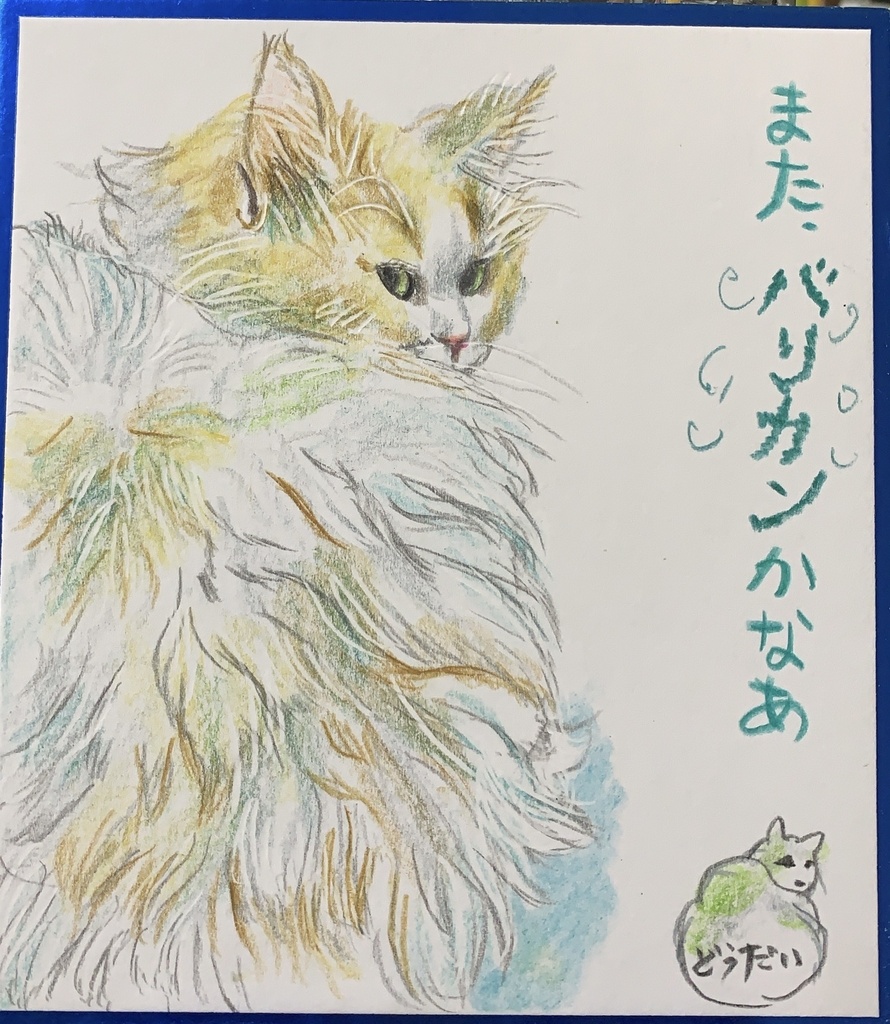 ざんしょきびしいねこのえ　1235