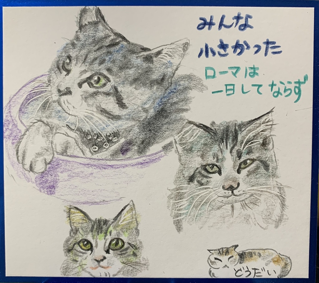 ちーさかったねこのえ　1236