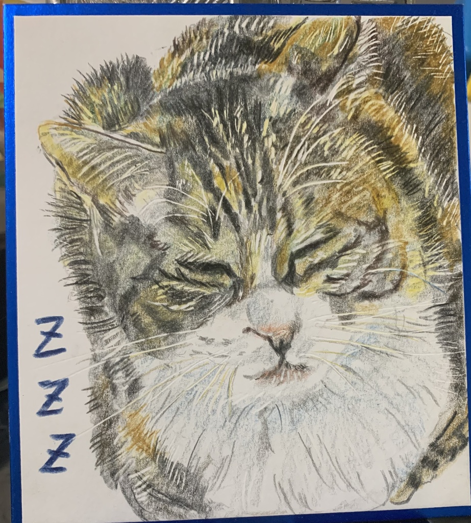 こうばこねこのえ　1238