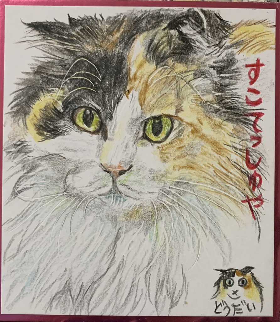 スコティッシュにみえないねこのえ　1240