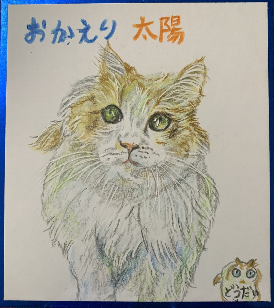 さらばあめ、ねこのえ　1242