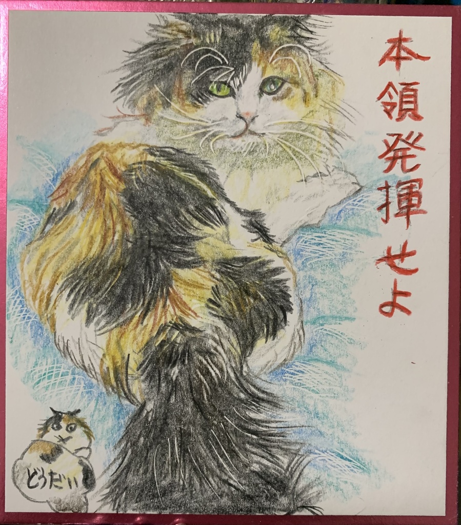 ねこのほんりょうはねこのえ　1245
