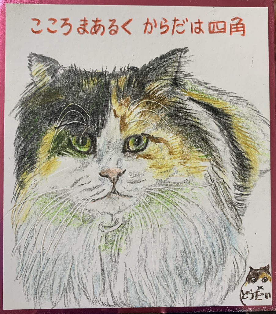 しかくいねこのえ　1252