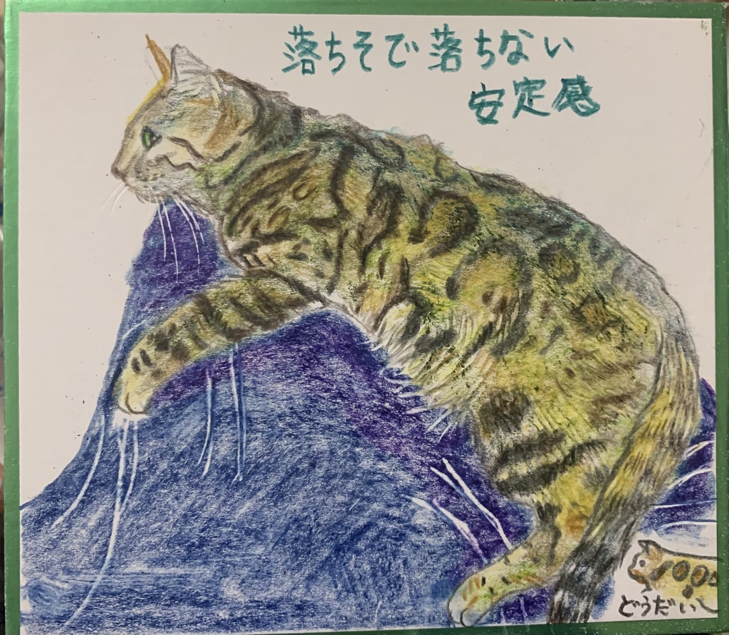 たいかんいいねこのえ　1253