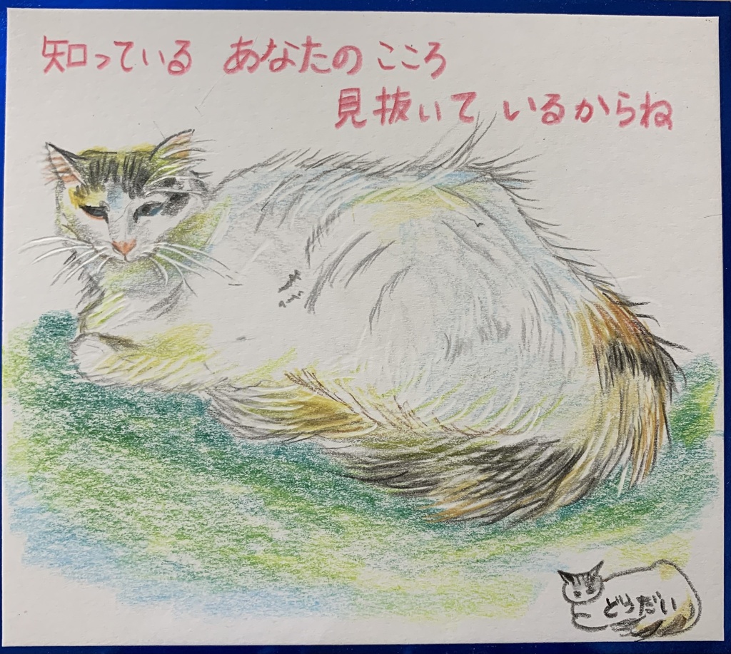 みぬいているねこのえ　1259