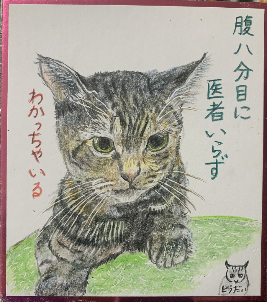 しょくよくあるねこのえ　1259