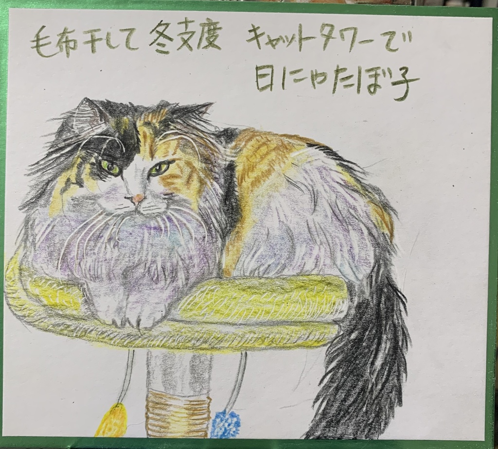 ふゆじたくねこのえ　1260