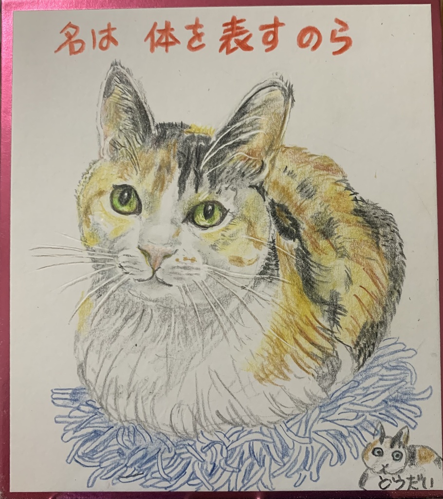 なまえだいじねこのえ　1261