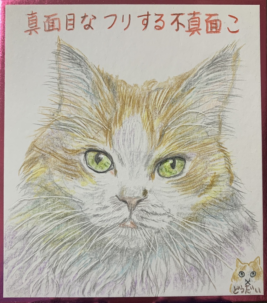 ふまじめなねこのえ　1264