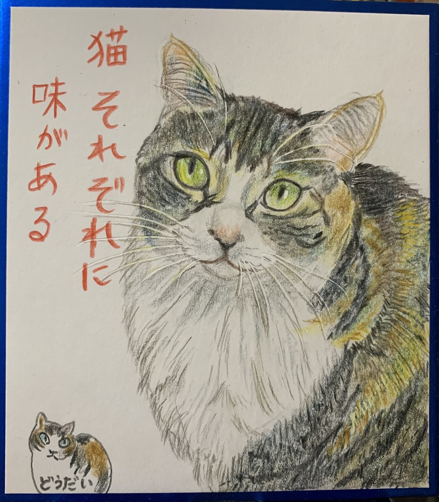 あたりまえのねこのえ　1269
