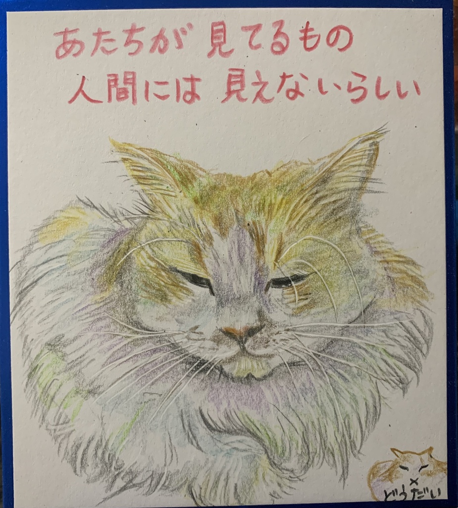 みえないものをみるねこのえ　1270