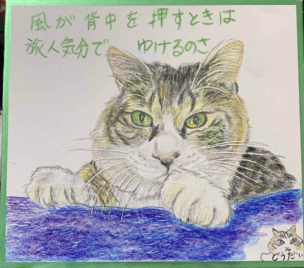 たびねこきぶんのねこのえ　1271