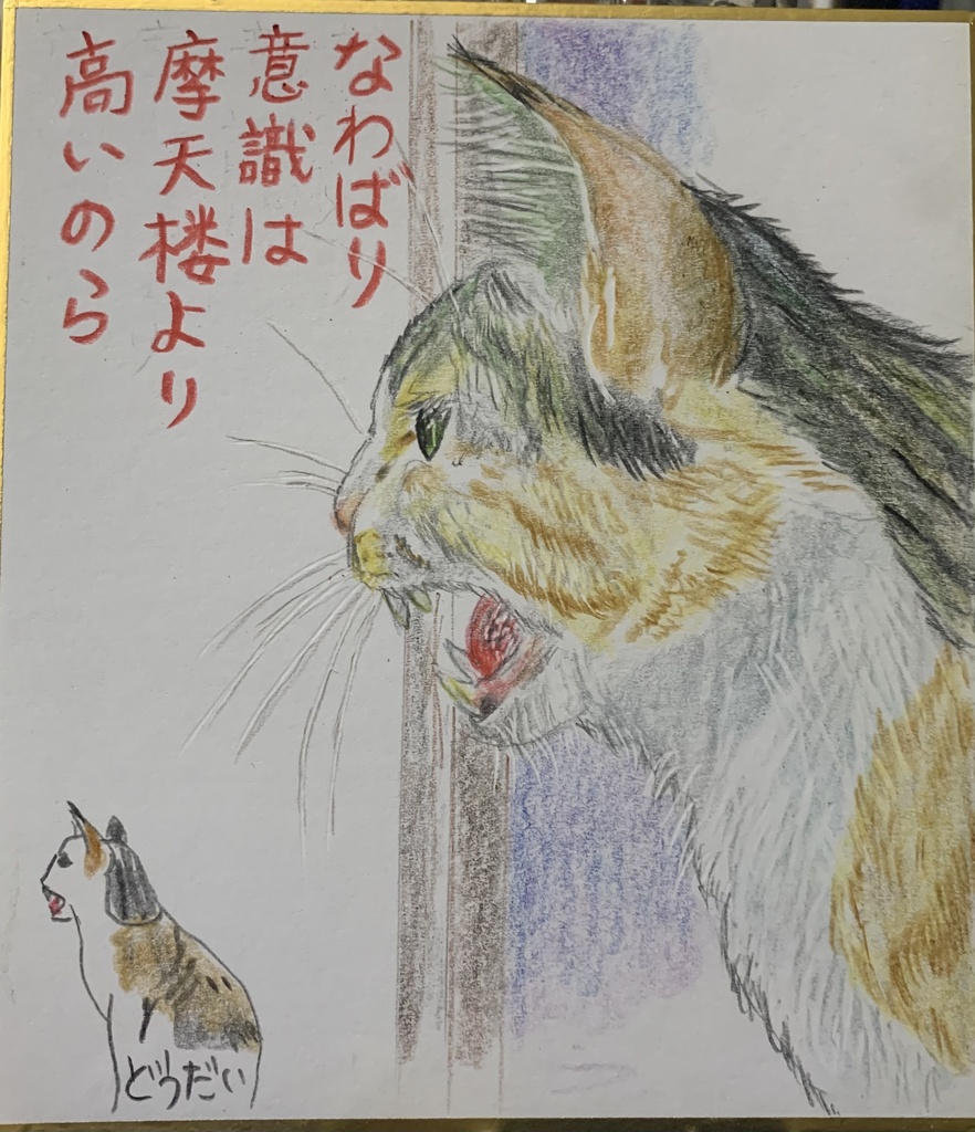 てりとりーねこのえ　1275
