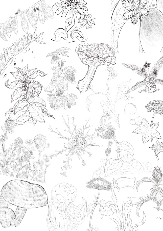 【電子版】Dr.マーキュリーの研究日誌【SPLL:E11022】