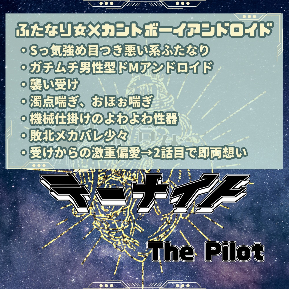 狂瀾合体テーナイト　The Pilot