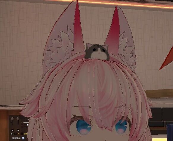 猫猫球(Avatar或装饰用) - ネコ