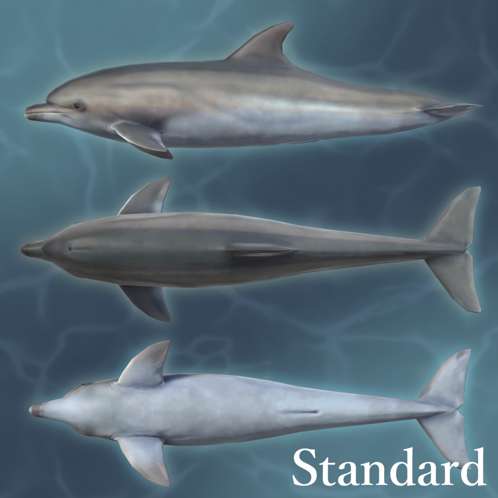 3Dアバター「バンドウイルカ(ハンドイルカ)」