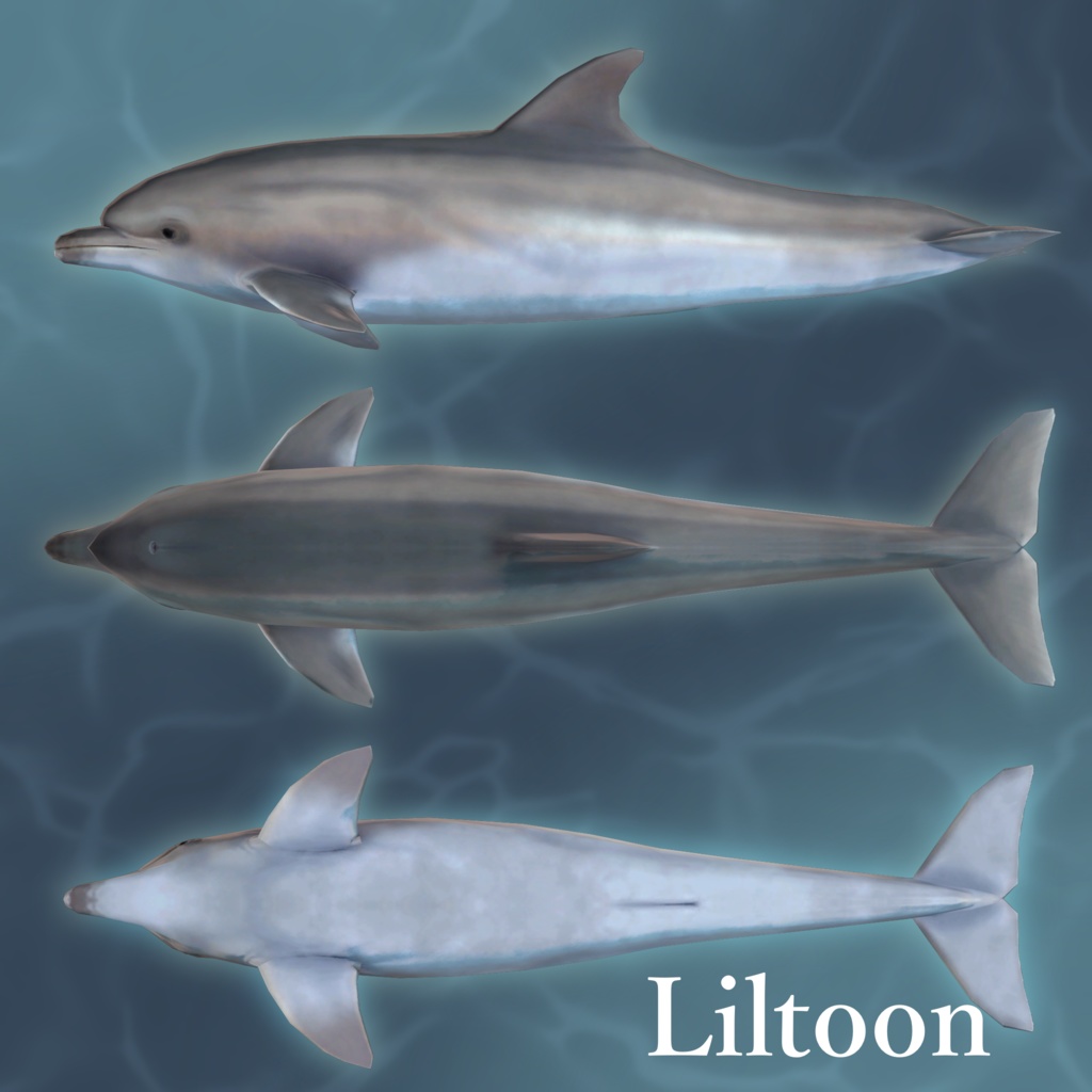 3Dアバター「バンドウイルカ(ハンドイルカ)」