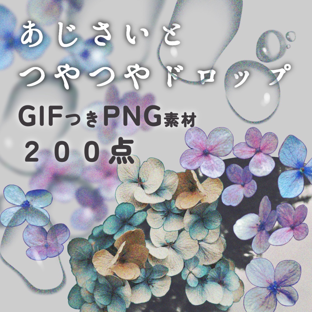 【PNG+GIF素材】あじさいとつやつやドロップ