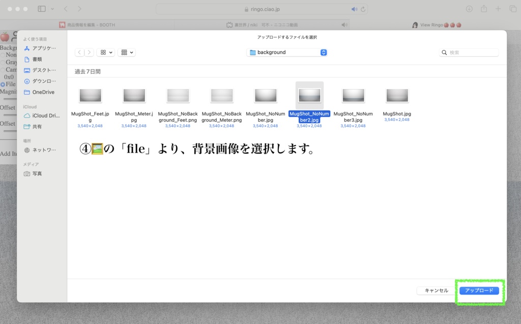 【VRMモデル向け】マグショットセット