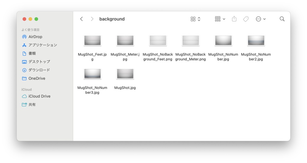 【VRMモデル向け】マグショットセット