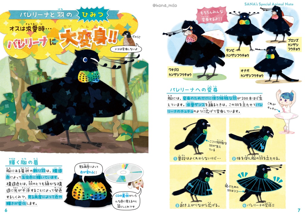 カンザシフウチョウ & 極楽鳥【改訂版】〈サナのいきものひみつノート〉