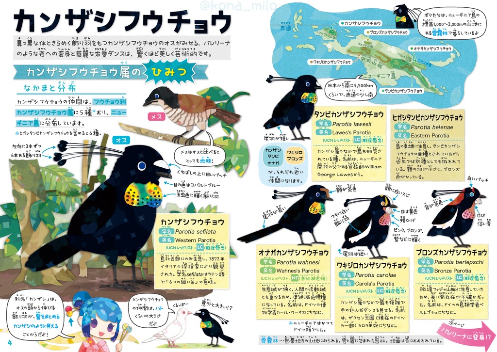 サナのいきものひみつノート②「カンザシフウチョウ&極楽鳥」