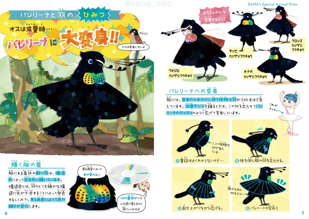 サナのいきものひみつノート②「カンザシフウチョウ&極楽鳥」
