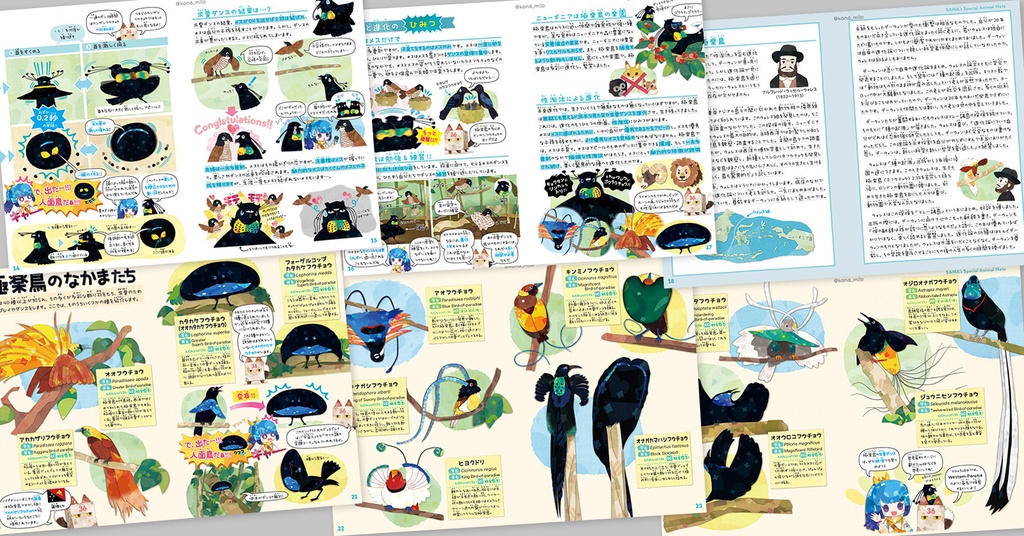 カンザシフウチョウ & 極楽鳥【改訂版】〈サナのいきものひみつノート〉