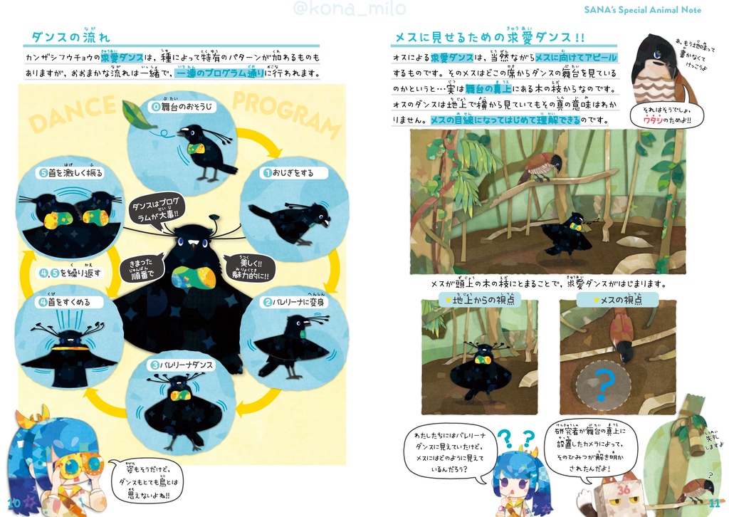 サナのいきものひみつノート②「カンザシフウチョウ&極楽鳥」