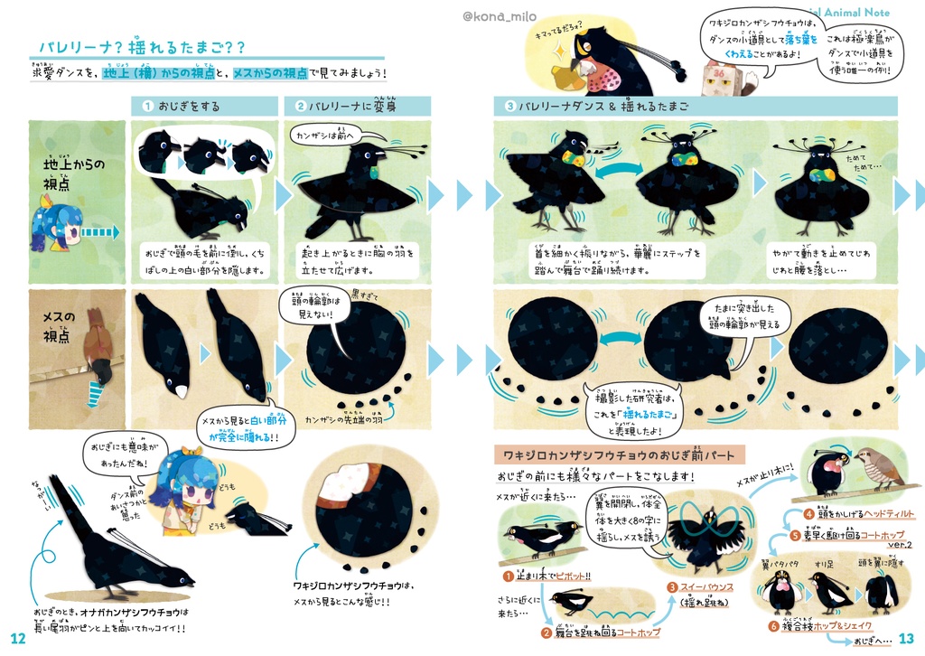 カンザシフウチョウ & 極楽鳥【改訂版】〈サナのいきものひみつノート〉
