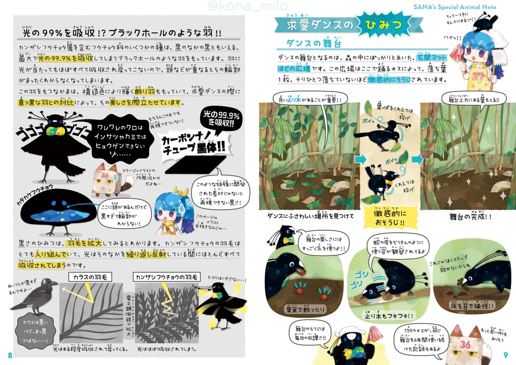 サナのいきものひみつノート②「カンザシフウチョウ&極楽鳥」