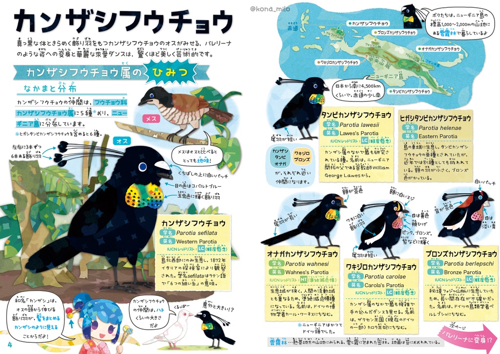 カンザシフウチョウ & 極楽鳥【改訂版】〈サナのいきものひみつノート〉