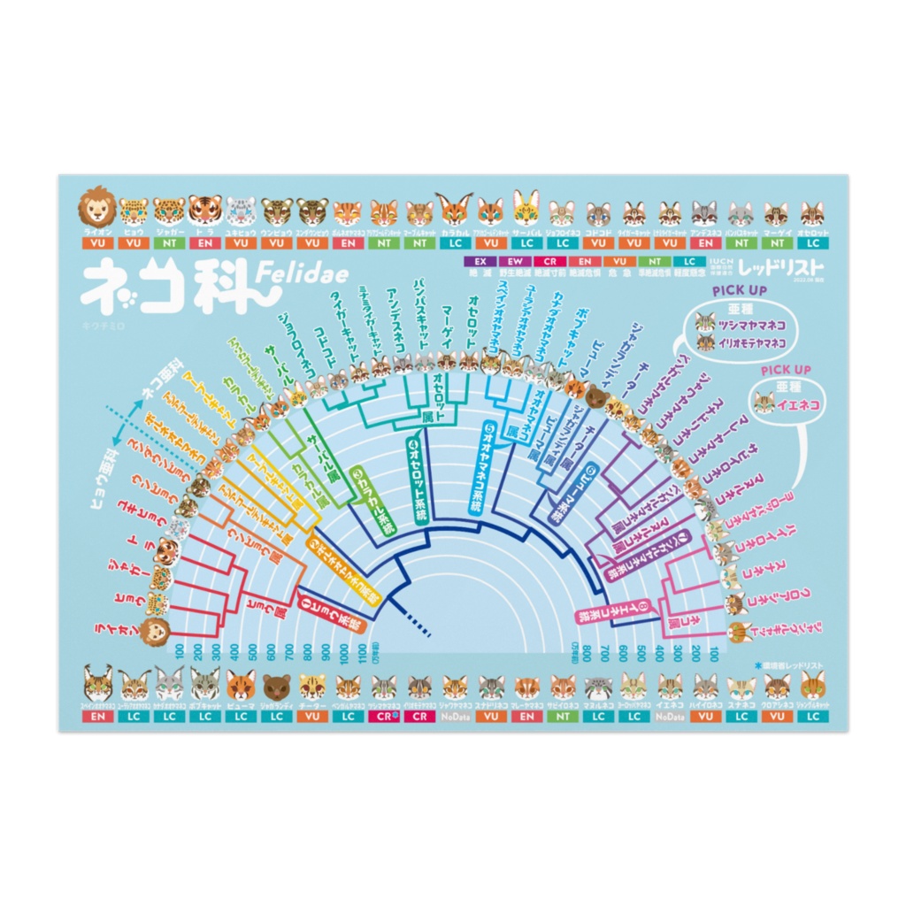 ネコ科 系統樹 ポスター