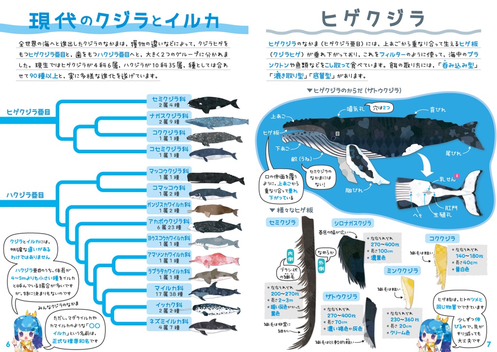 クジラ & イルカ 全種図鑑〈サナのいきものひみつノートADVANCE〉