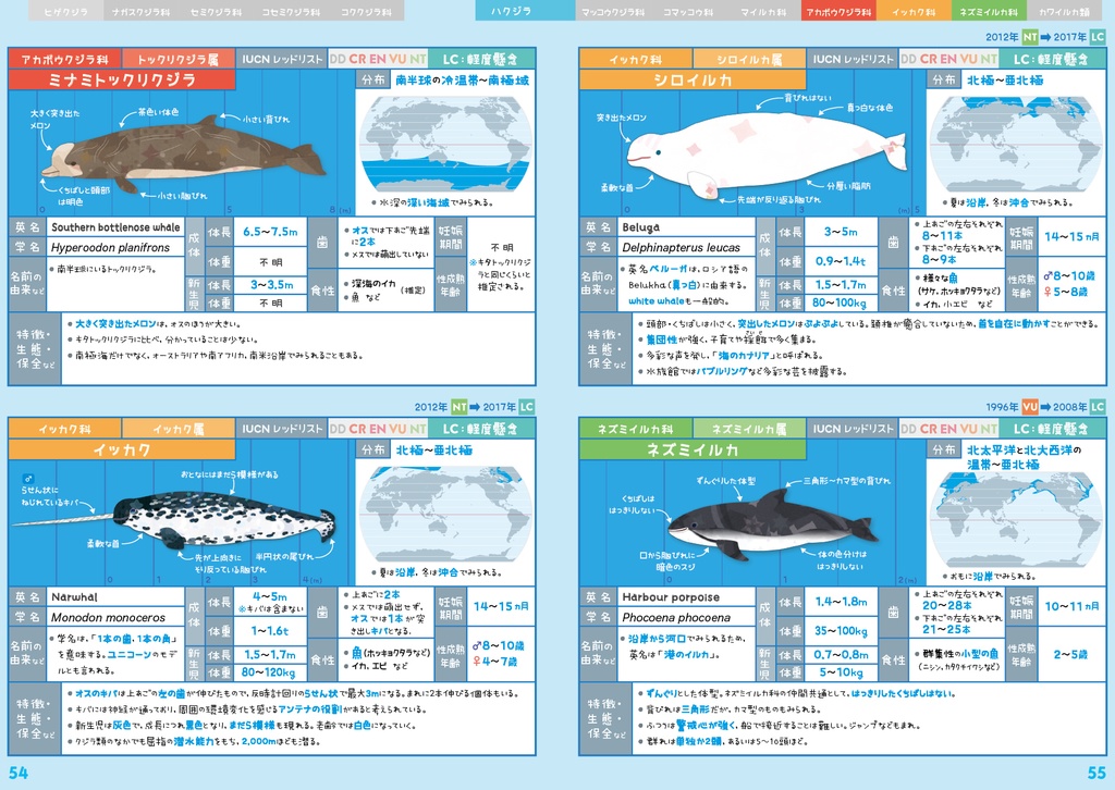 クジラ & イルカ 全種図鑑〈サナのいきものひみつノートADVANCE〉