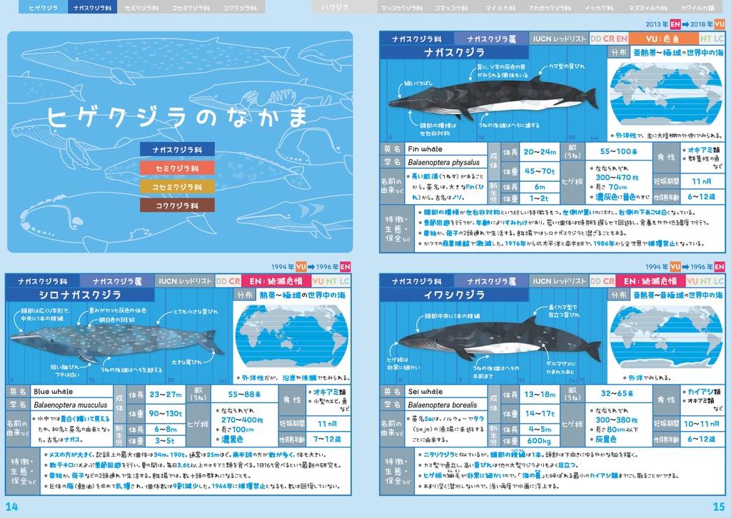 クジラ & イルカ 全種図鑑〈サナのいきものひみつノートADVANCE〉