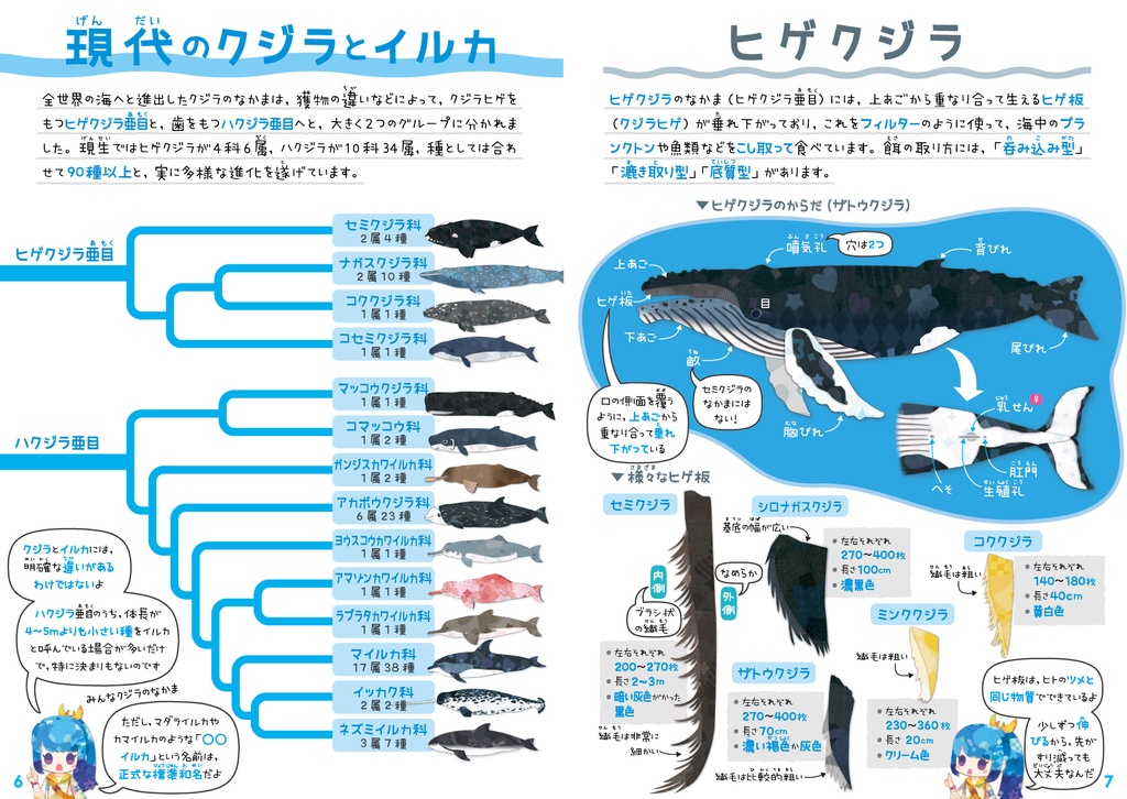 クジラ & イルカ 全種図鑑〈サナのいきものひみつノートADVANCE〉
