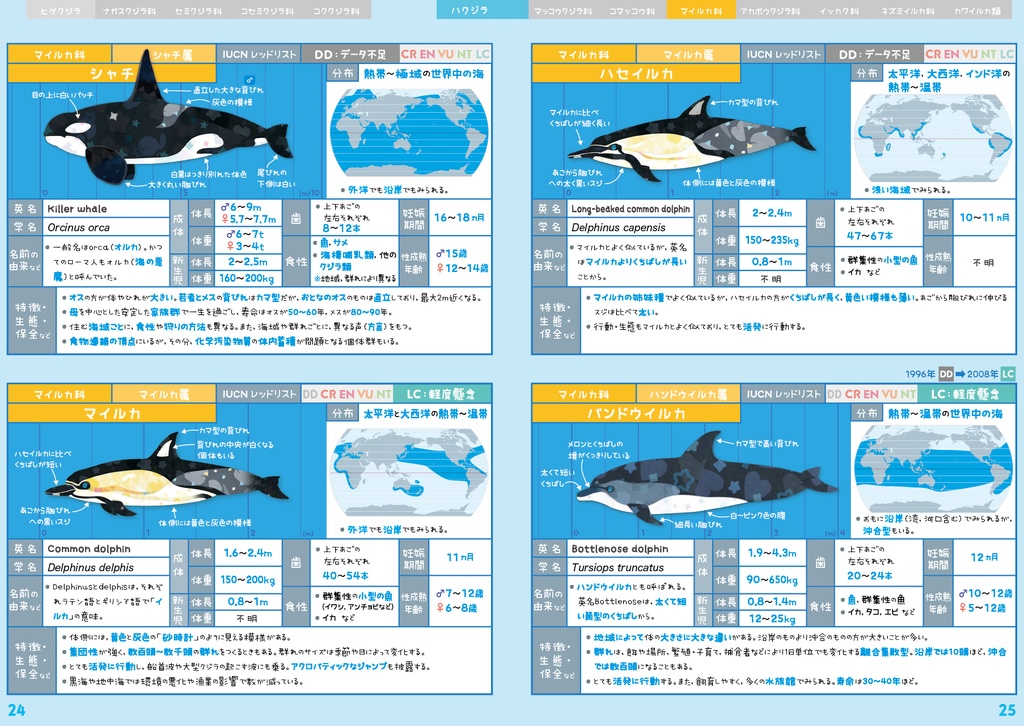 クジラ & イルカ 全種図鑑〈サナのいきものひみつノートADVANCE〉