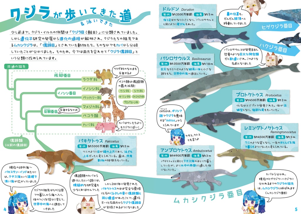 クジラ & イルカ 全種図鑑〈サナのいきものひみつノートADVANCE〉