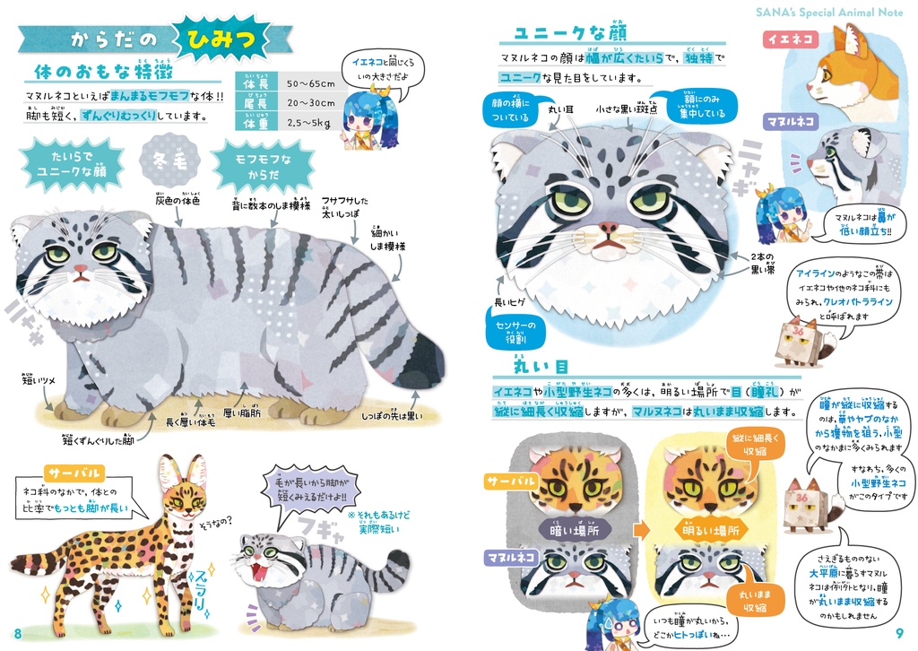 マヌルネコ&チベットの動物たち【改訂版】〈サナのいきものひみつノート〉
