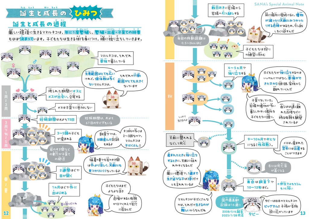 マヌルネコ&チベットの動物たち【改訂版】〈サナのいきものひみつノート〉
