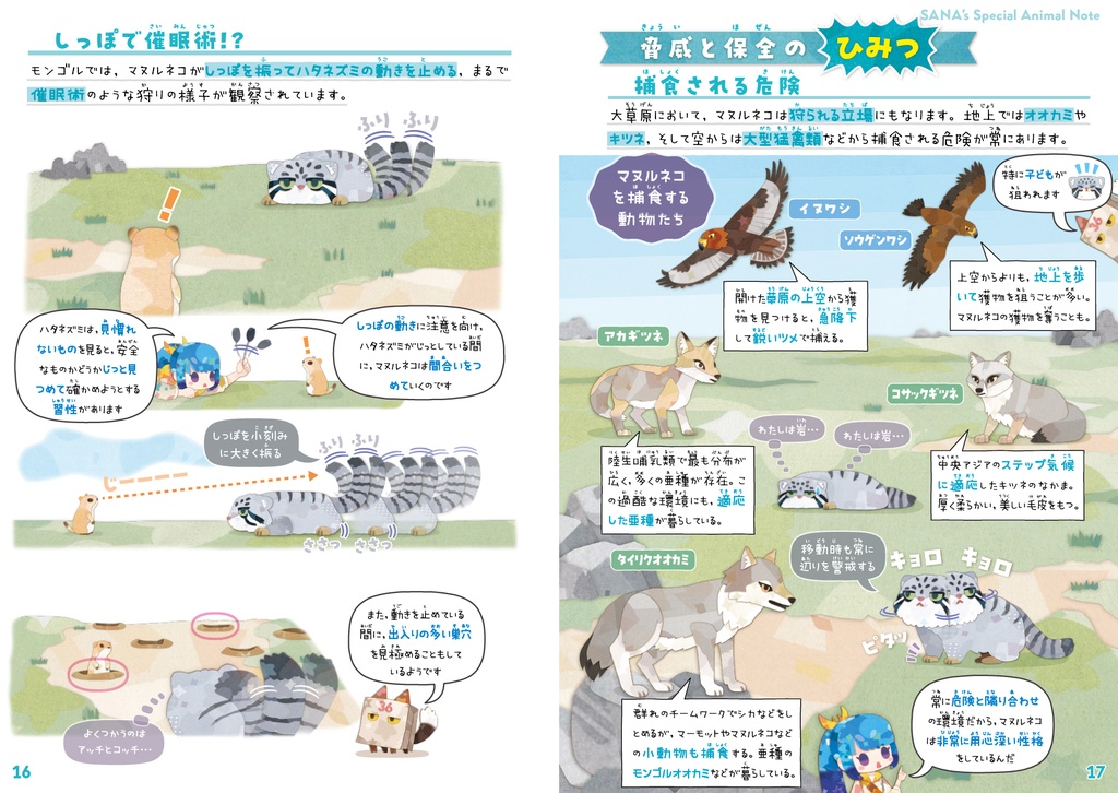 マヌルネコ&チベットの動物たち【改訂版】〈サナのいきものひみつノート〉