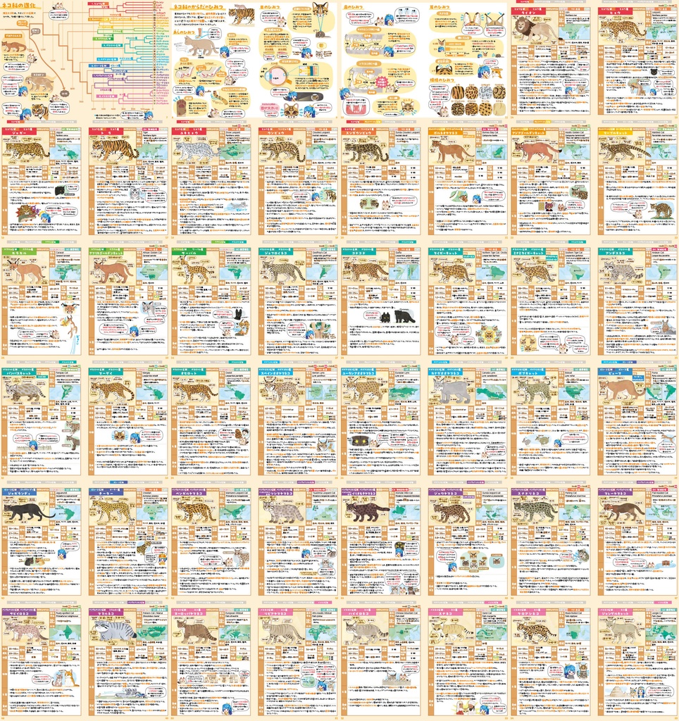 ネコ科全種図鑑〈サナのいきものひみつノートADVANCE〉