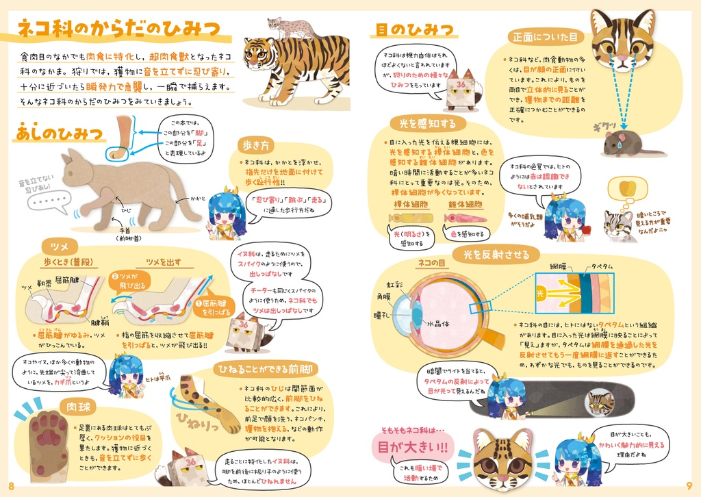 ネコ科全種図鑑〈サナのいきものひみつノートADVANCE〉