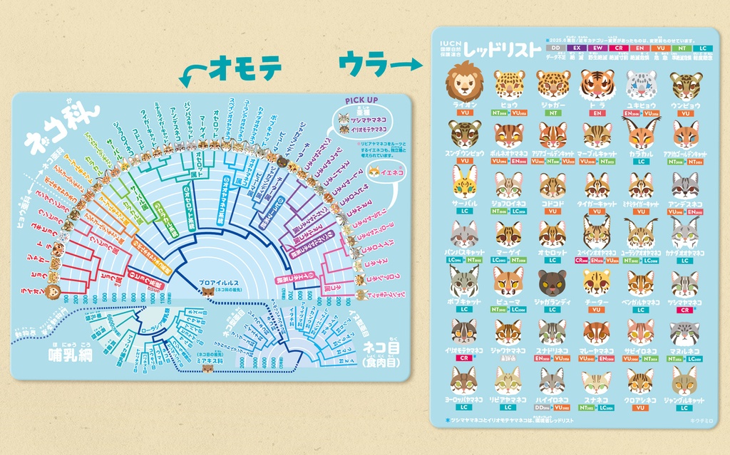 ネコ科系統樹&レッドリスト 下敷き〈改訂版〉